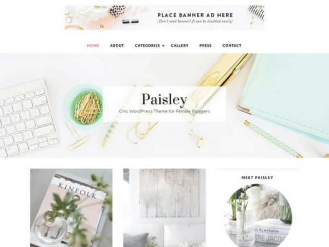 Paisley WordPress Theme